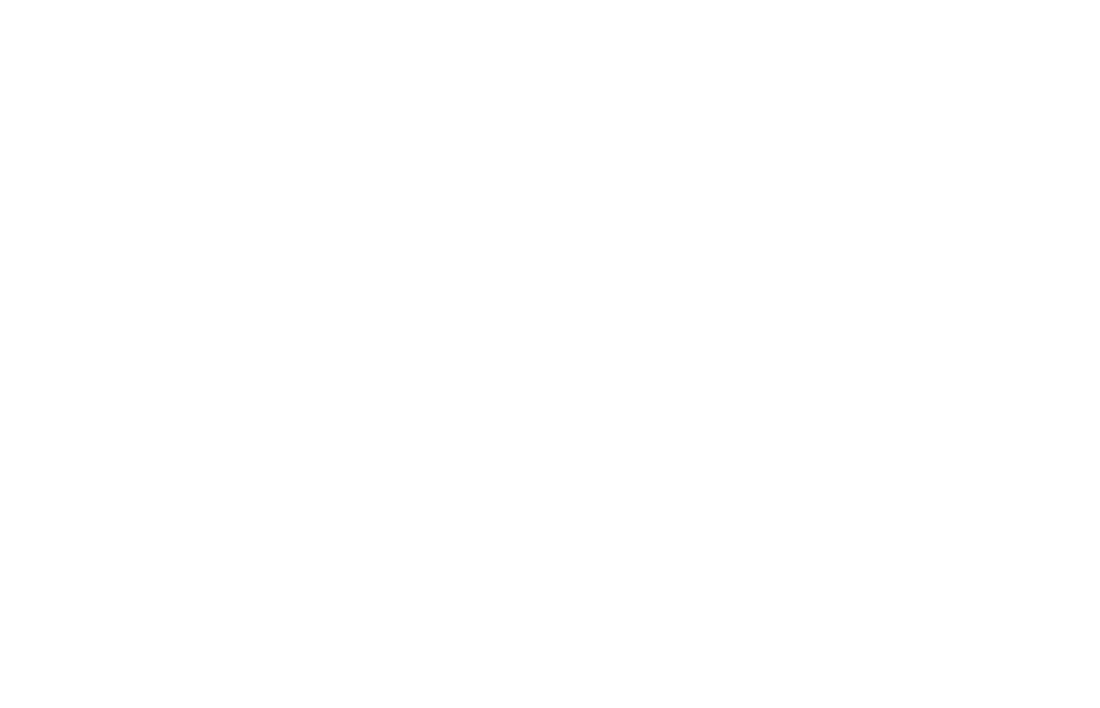 SSIP scheme — approved supplier artwork to be confirmed before publication